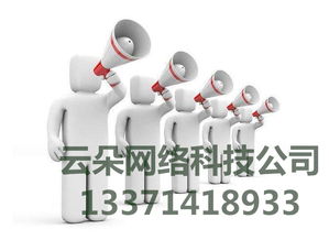 云朵網(wǎng)絡 專業(yè)SEO優(yōu)化外包服務，科技賦能網(wǎng)絡營銷推廣